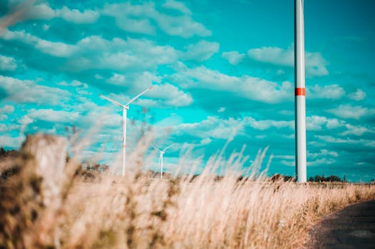 Jak Senátoři ČR Podporují Udržitelnou Energetiku: Projekty a Výzvy